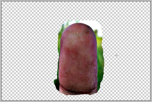 Creation of Arrest ID: Step 15